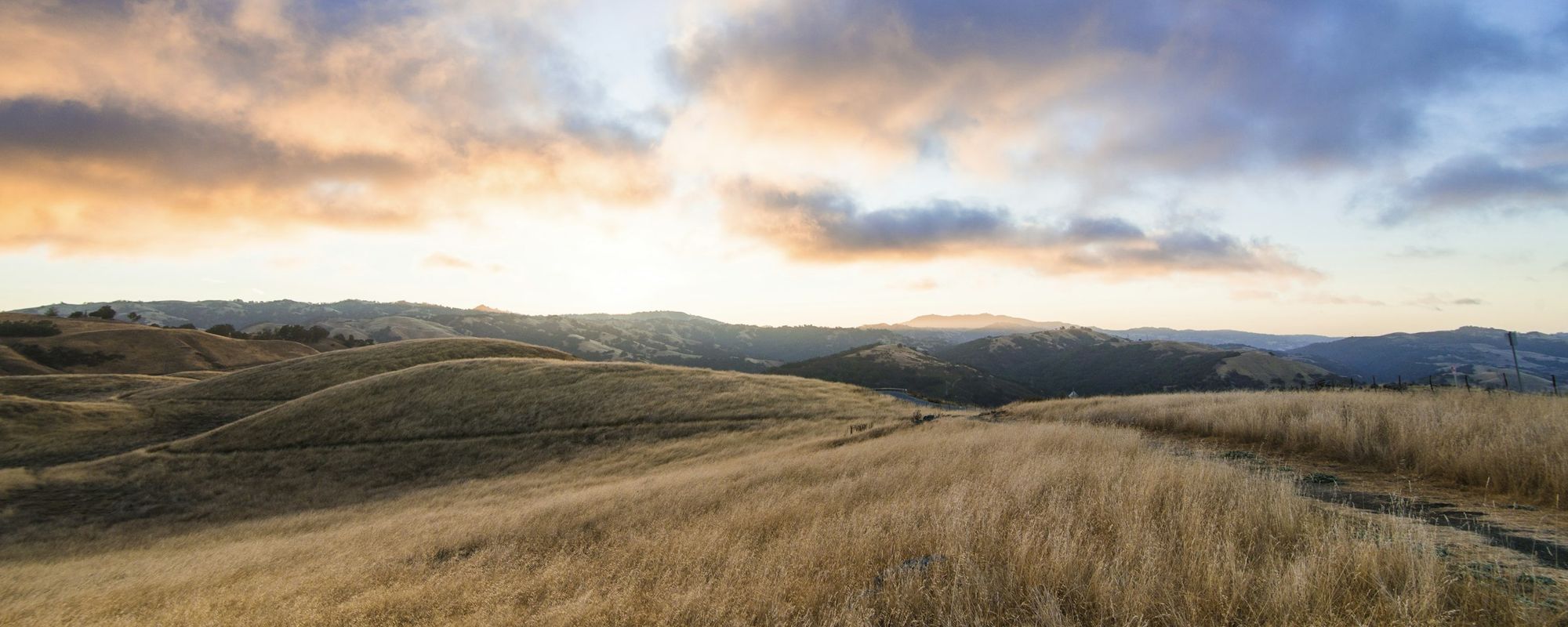 Oak-dotted foothills and dry-gold grass rolling toward the water at dusk