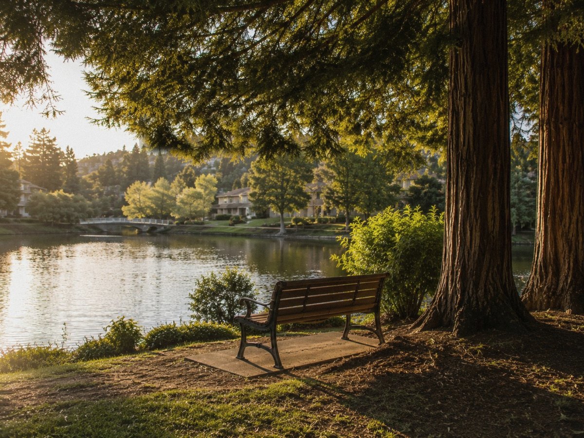 A bench beneath redwoods at the edge of Swan Lake at sunset